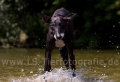 05 Wasseraction